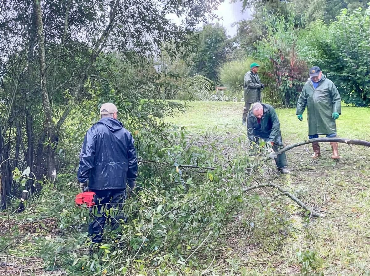 Bénévoles en ciré coupant des branches au bord de l’eau